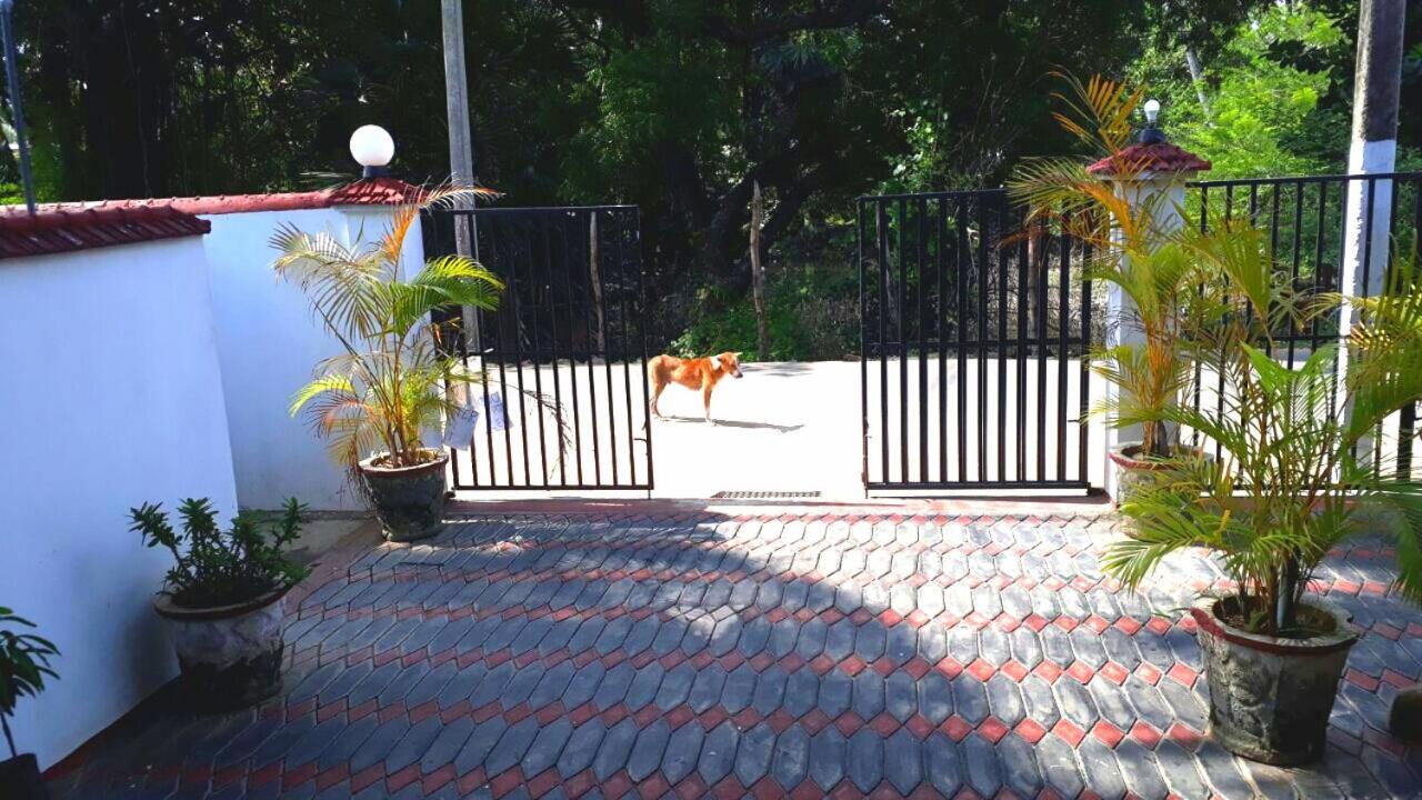 Hilton Cottage Trincomalee Exterior photo